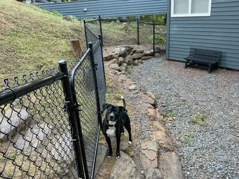 Pet-safe black chain-link gate and yard